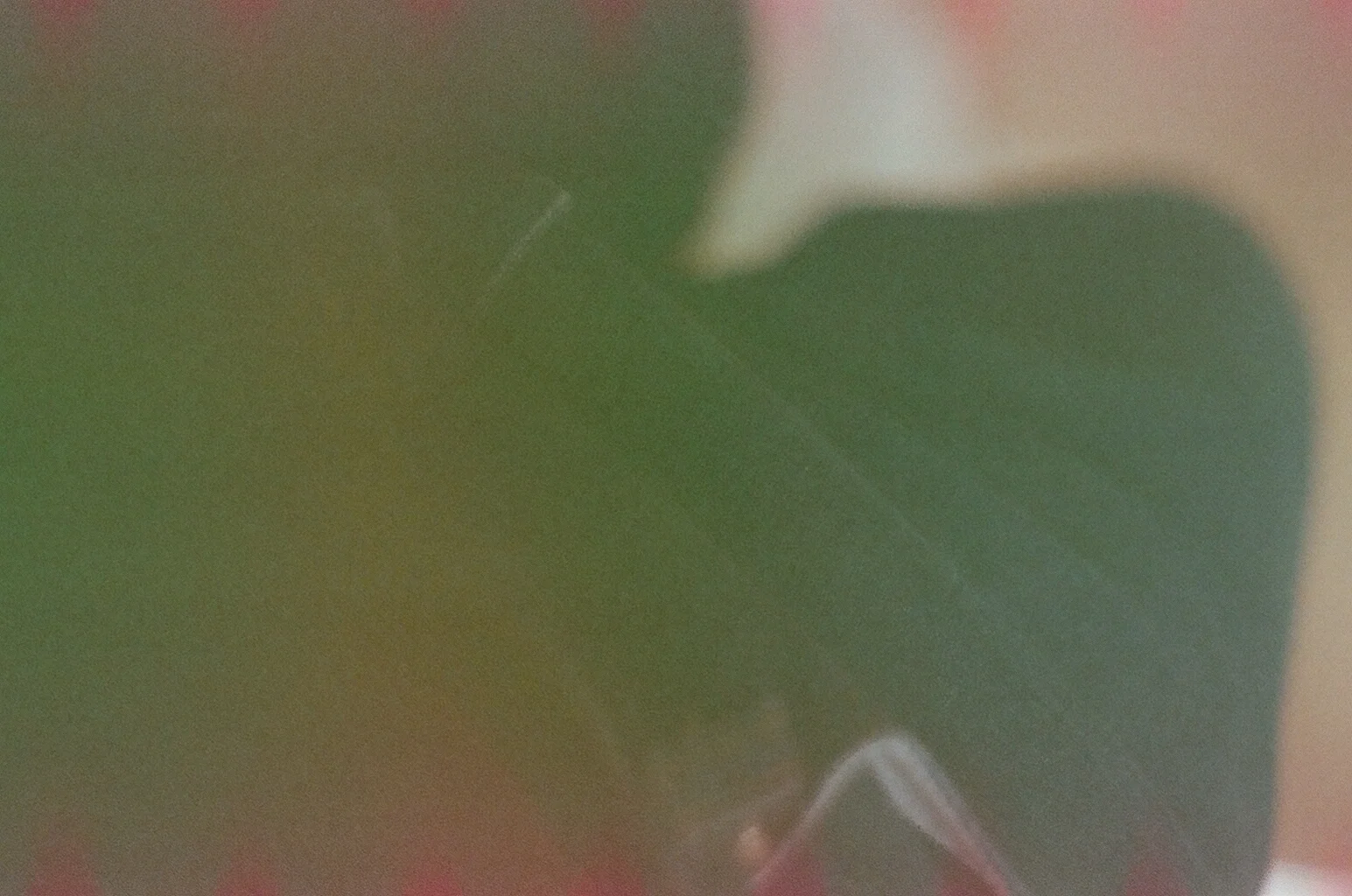 17180007.JPG