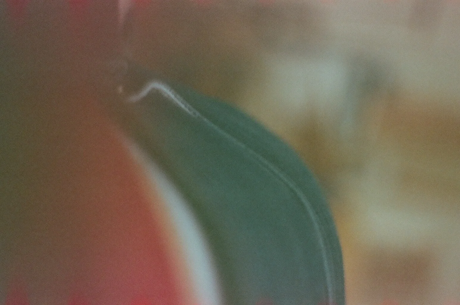 17180004.JPG