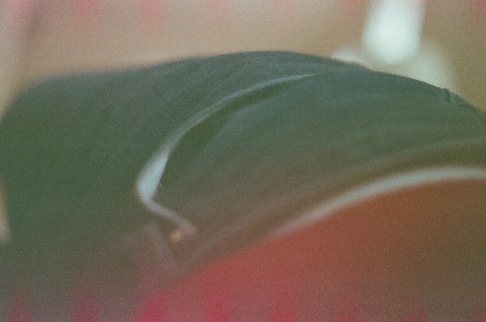 17180009.JPG
