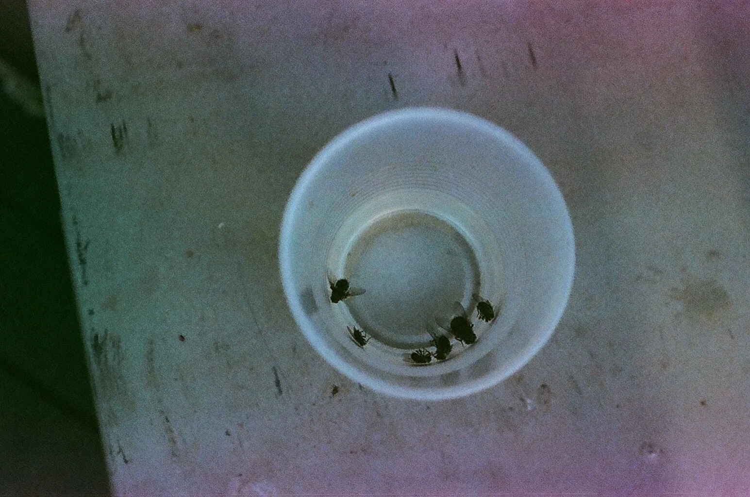 74430015.JPG