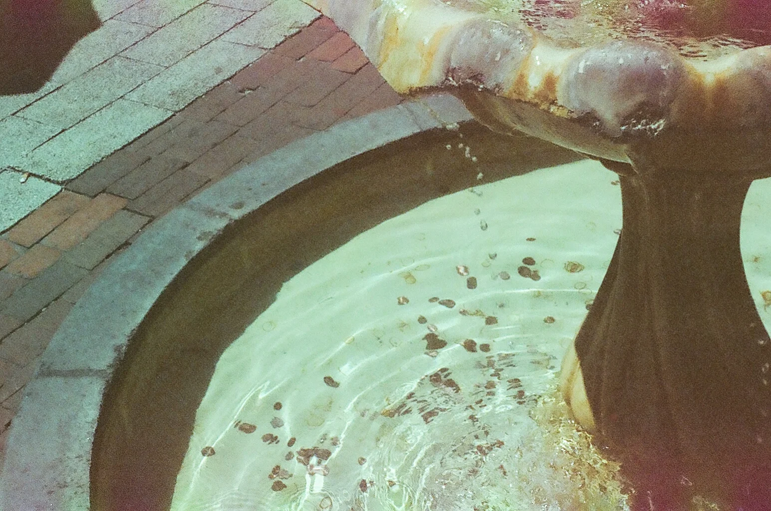 85830010.JPG
