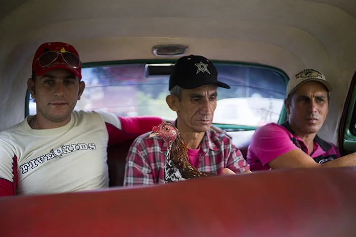 My shared ride was shared with these gentlemen.