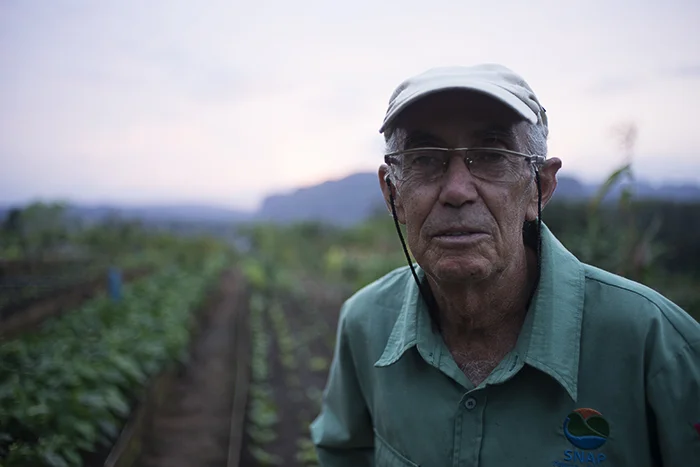 Martin was kind enough to give me a tour of the farm talking about all the different plants they have there. 
