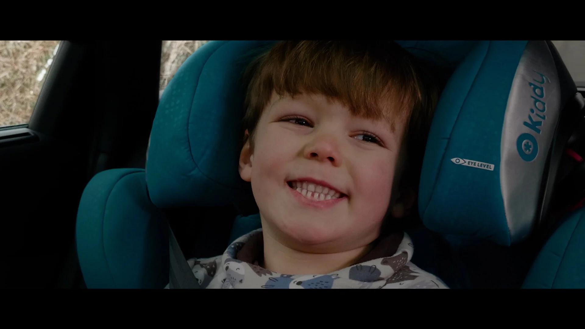 HELLA PAGID BRAKE SYSTEMS COMMERCIAL CLIP