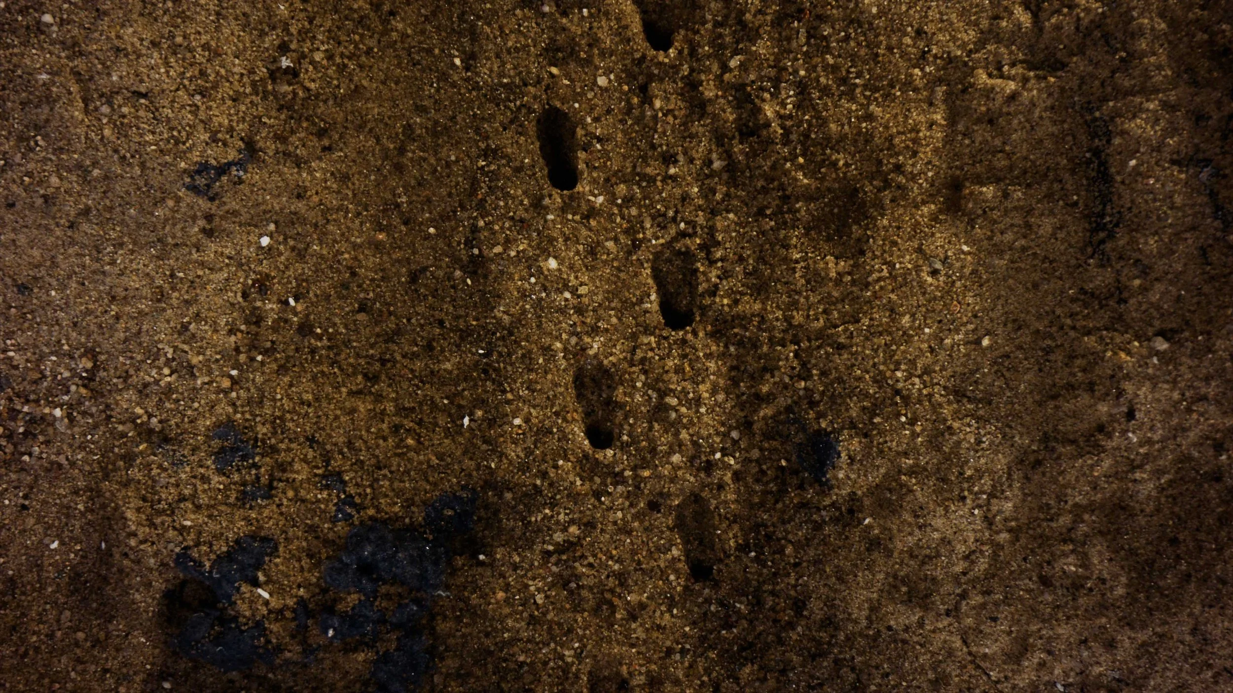 CYCLOTEXX IMAGE FILM