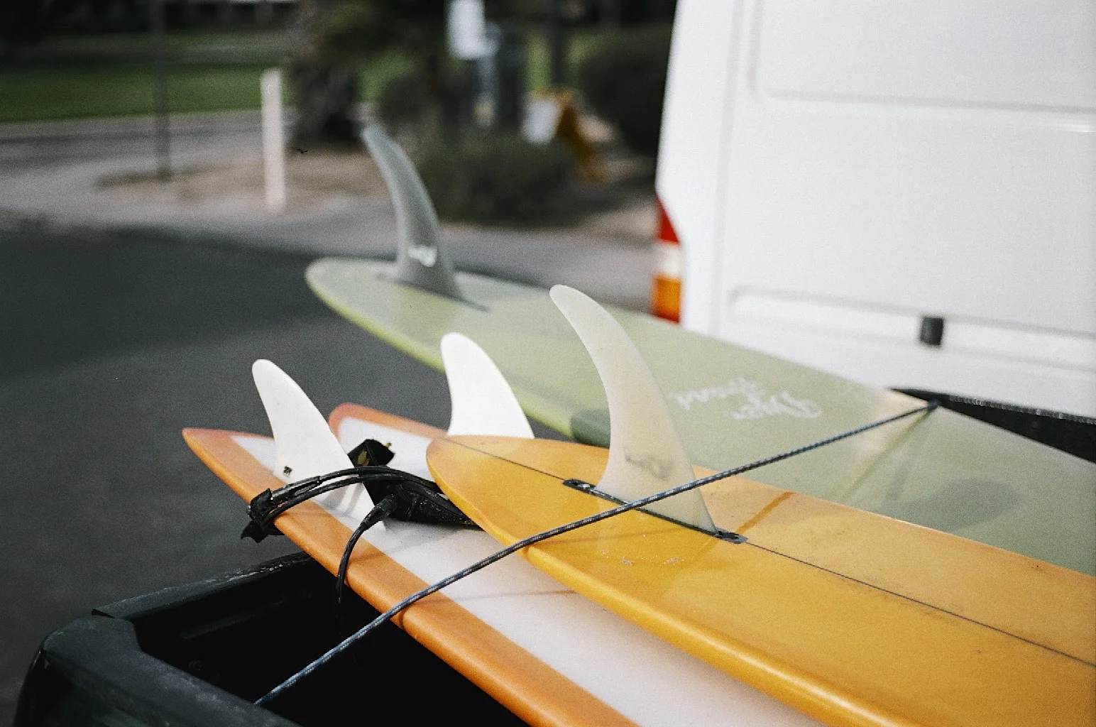 06790039 - Version 2.jpg