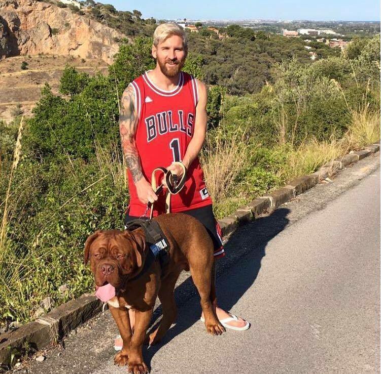 "DA BULLS are number 1 DA BEARS are number 1! DA BARCELONA més que un club!"