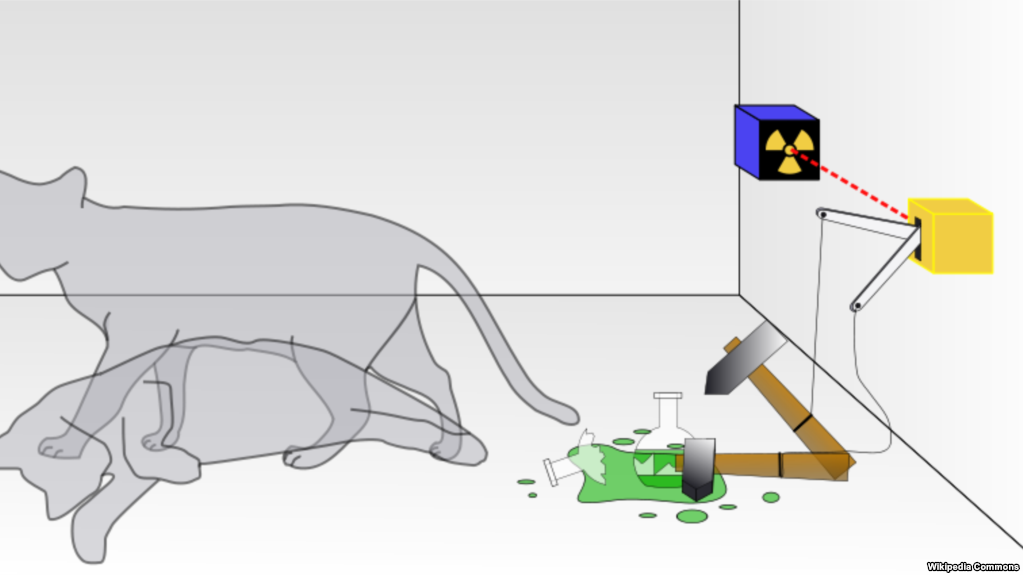 See, the cat is the league... and the poison is the Zlatan. No... wait... the Zlatan is the cat and the league is the hammer.... no wait... the hammer is the playoffs and the poison is Drake's new album and the cat is the physical manifestation of the J. Geils Band.