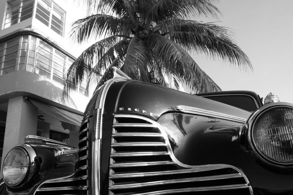 STOCK MIAMI PHOTO - PLZ NOTICE PALM TREE