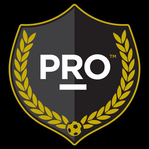 Pro.jpg