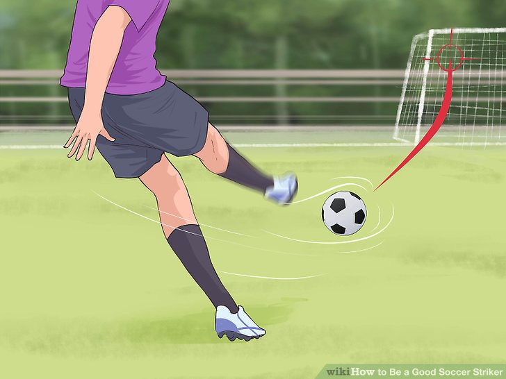 Wikihow.jpg