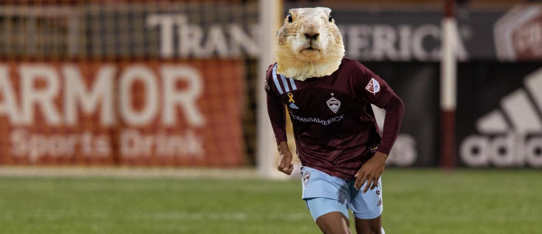 Colorado Rapids To Field Plague Carrying Prairie Dogs For Upcoming Games The Nutmeg News