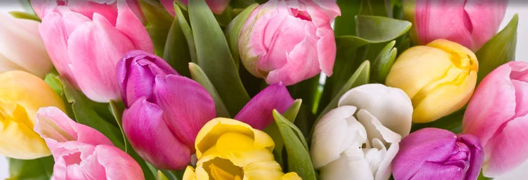 Mothering Sunday Holy Communion