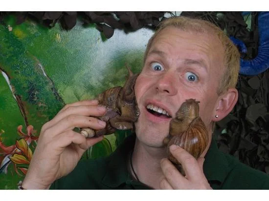 The Really Wild Show