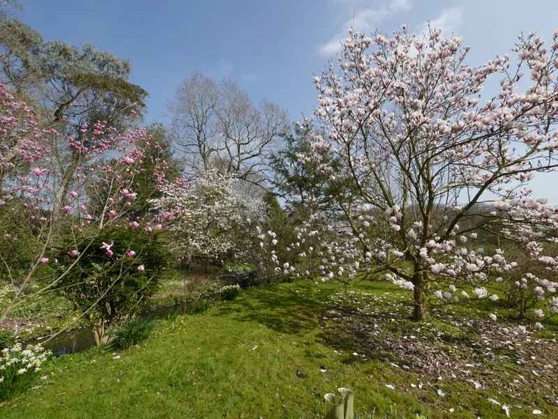 NGS - Open gardens @ Algars Manor & MIll