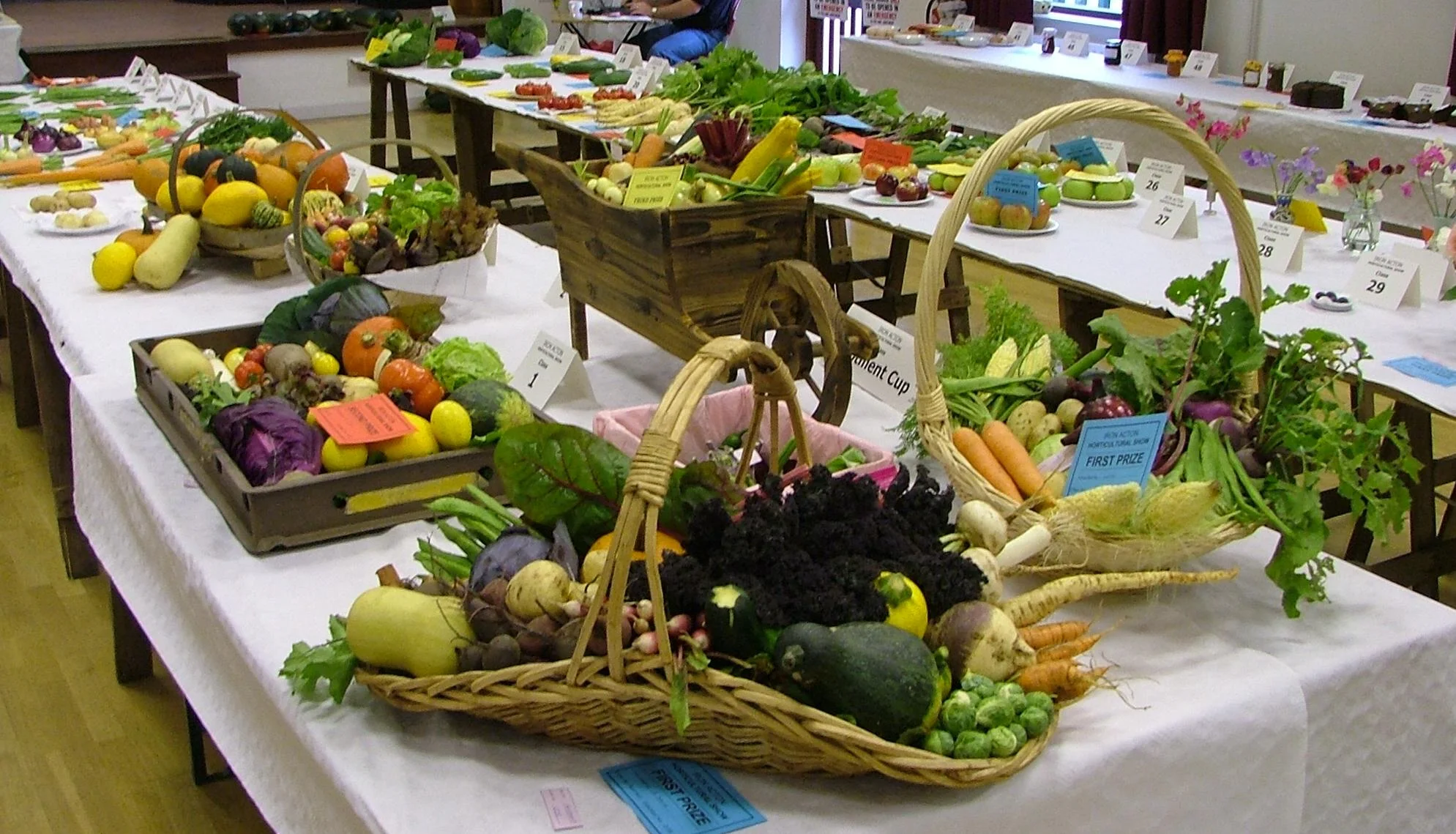 Iron Acton Horticultural Show