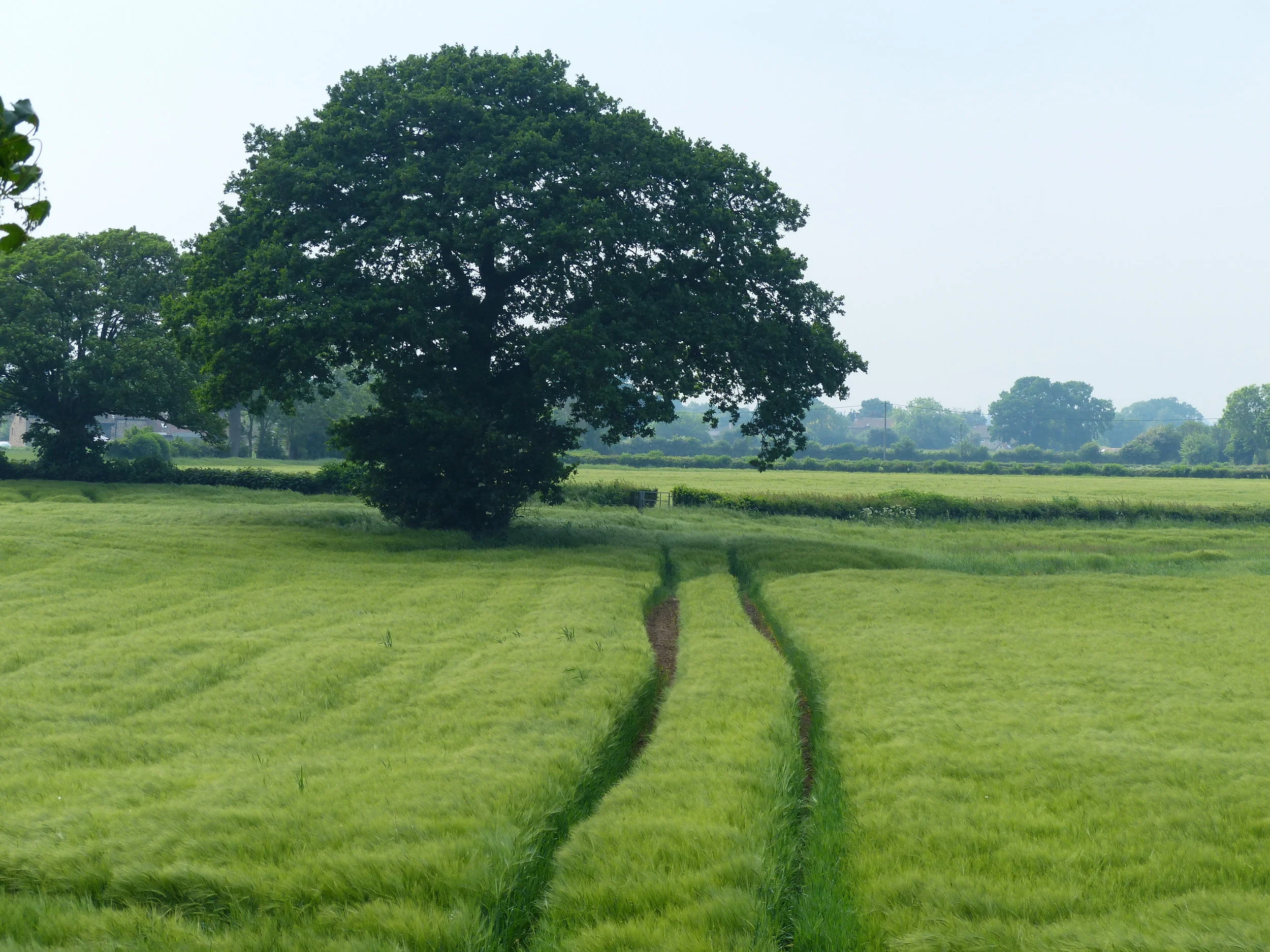 New gallery photographs - proposed SDL area