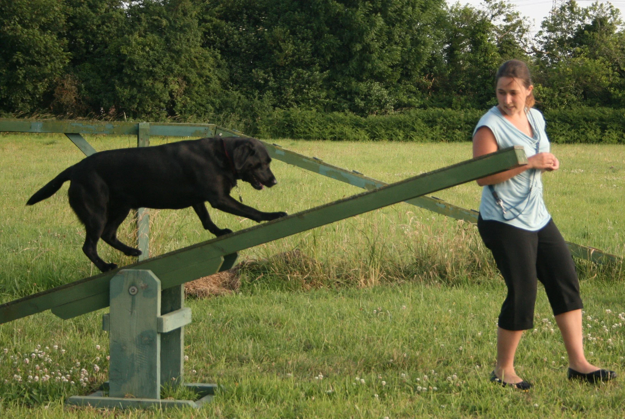 K9 Club Novelty &amp; Activity Show