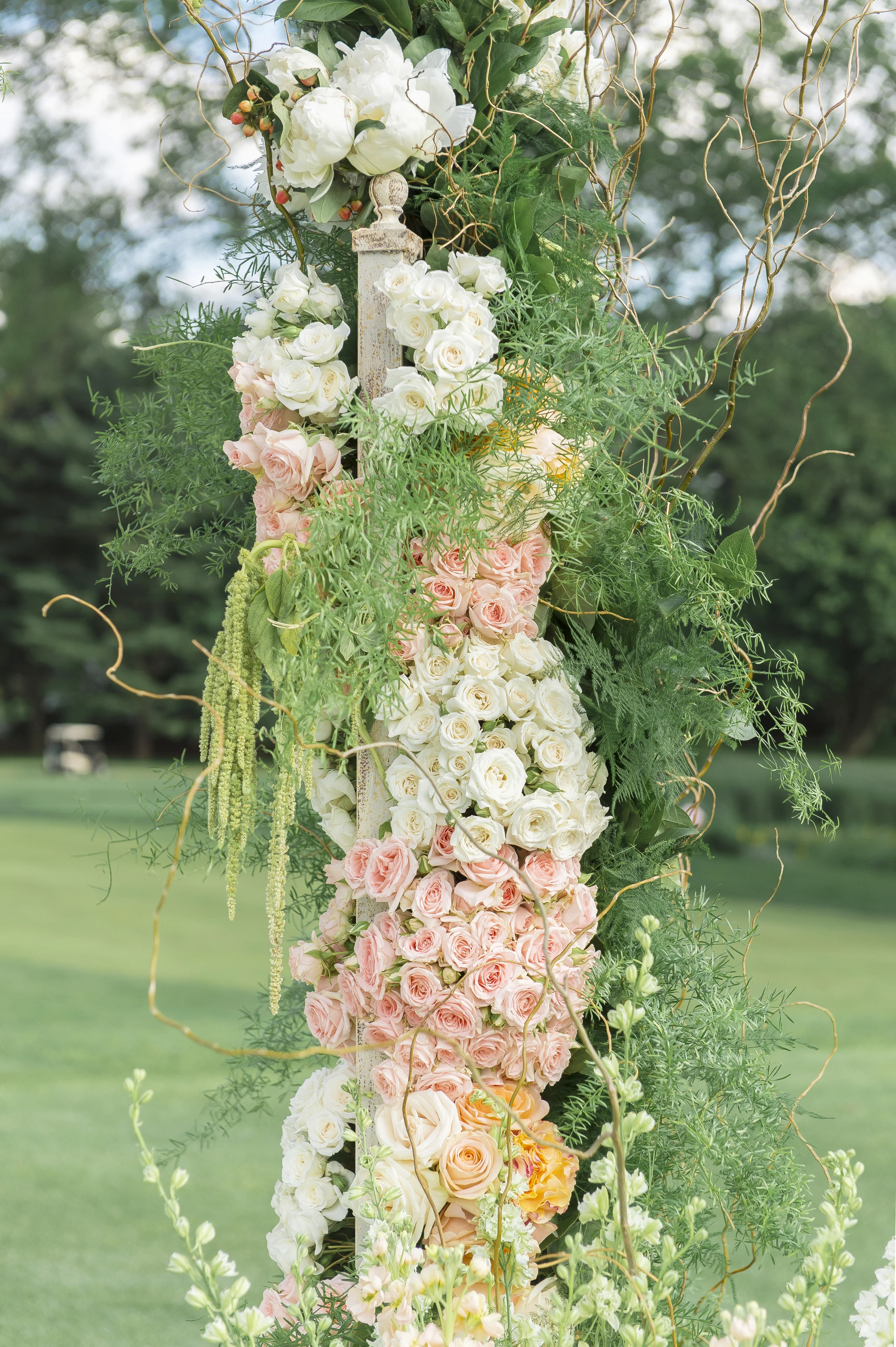  &nbsp;A Day of Bliss Photography 