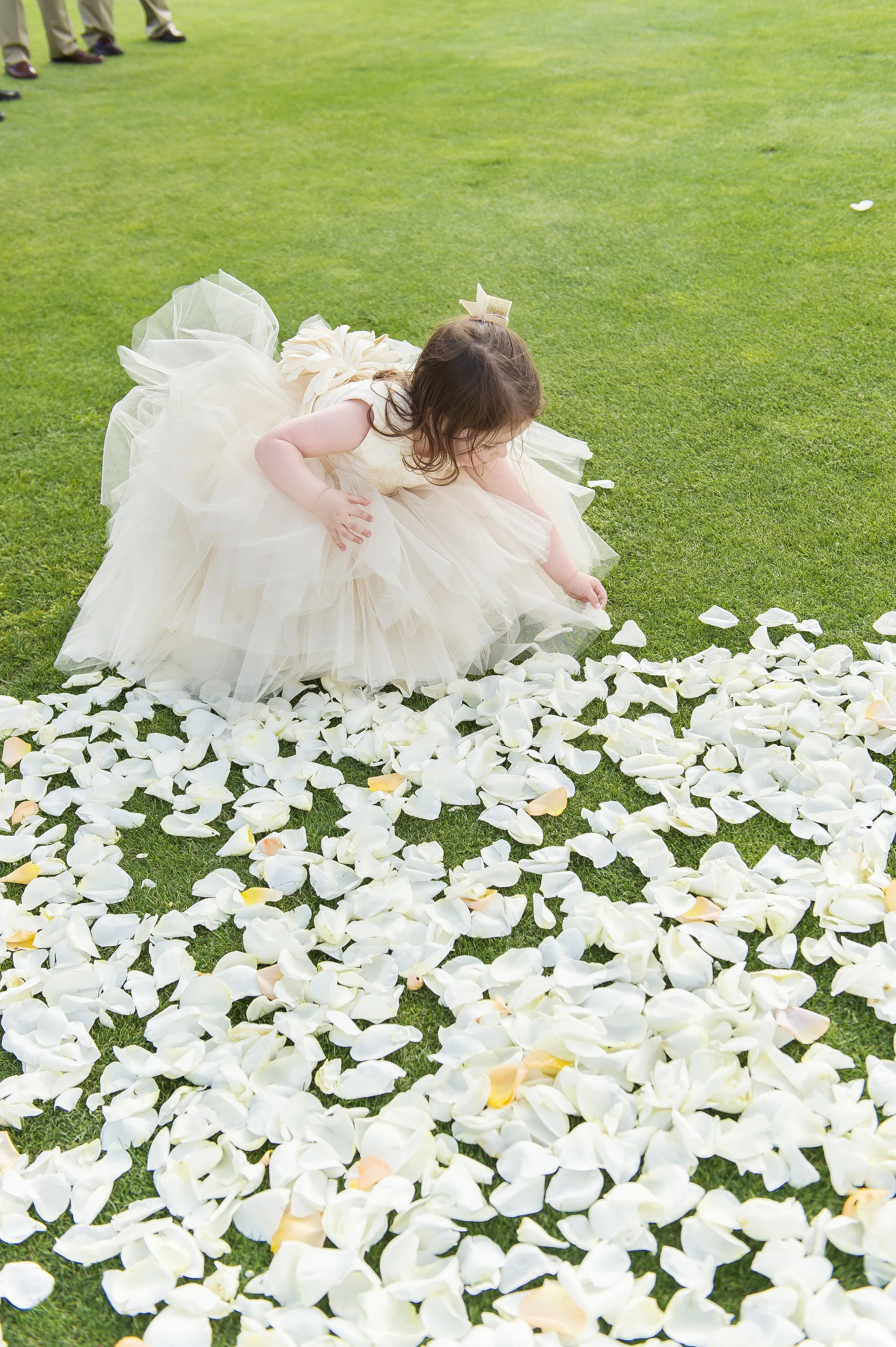  &nbsp;A Day of Bliss Photography 