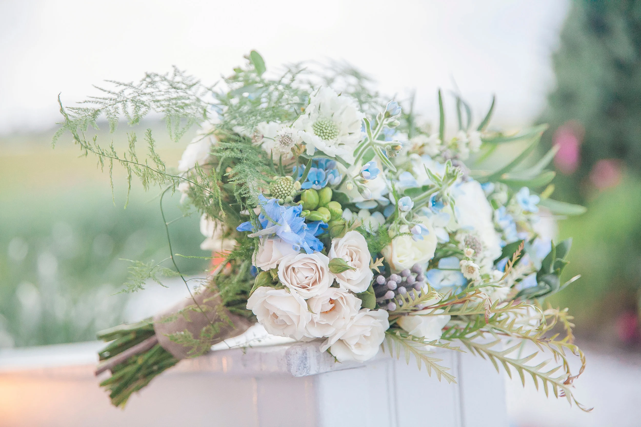  A Day of Bliss Photography 