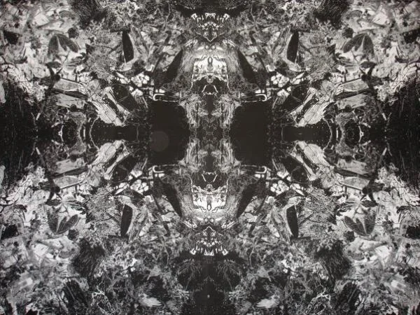 2693_77159272944_611142944_1737433_2570684_n.jpg