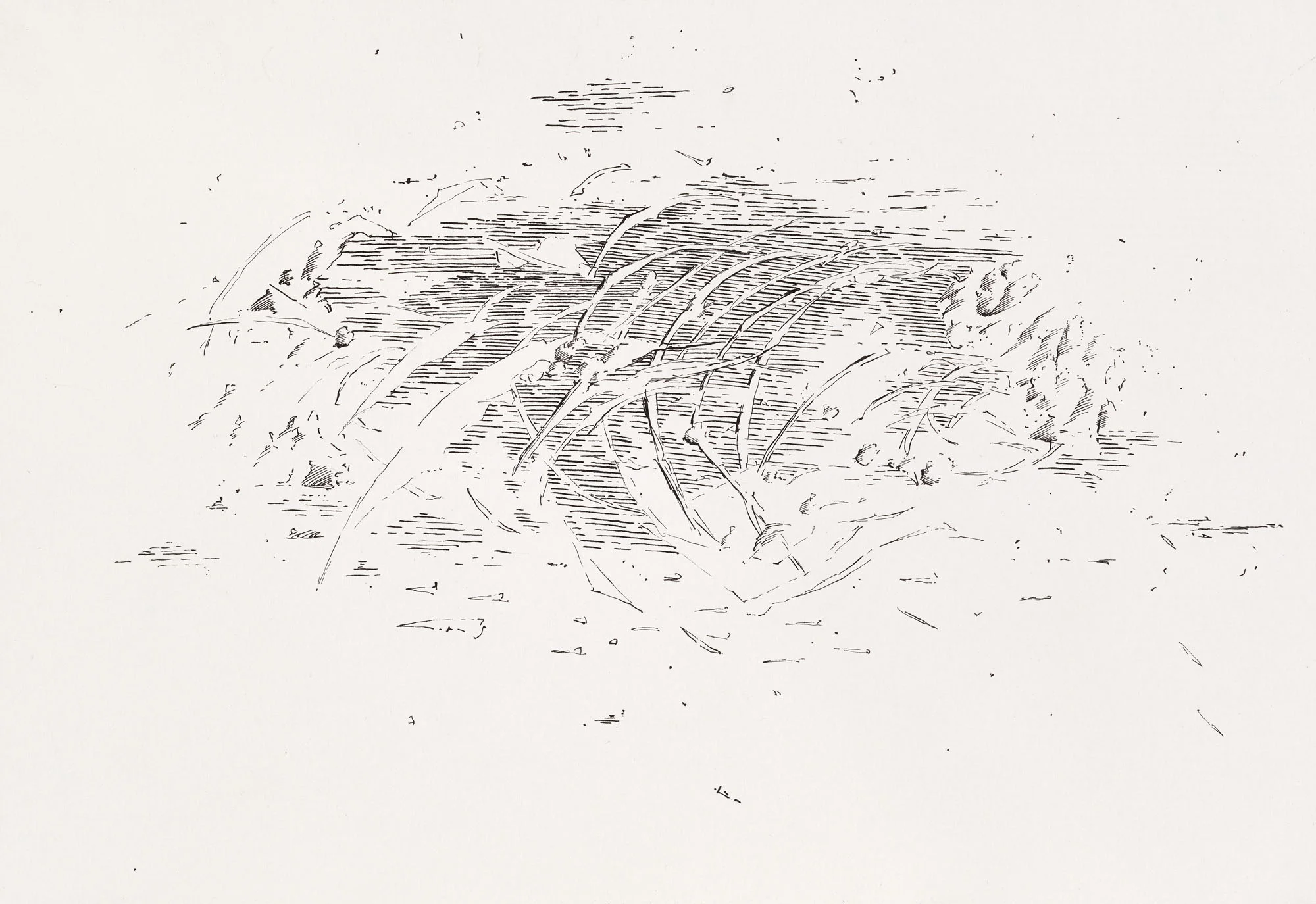 B_K_P_16514_untitled_ink_on_paper_21x29cm_2012