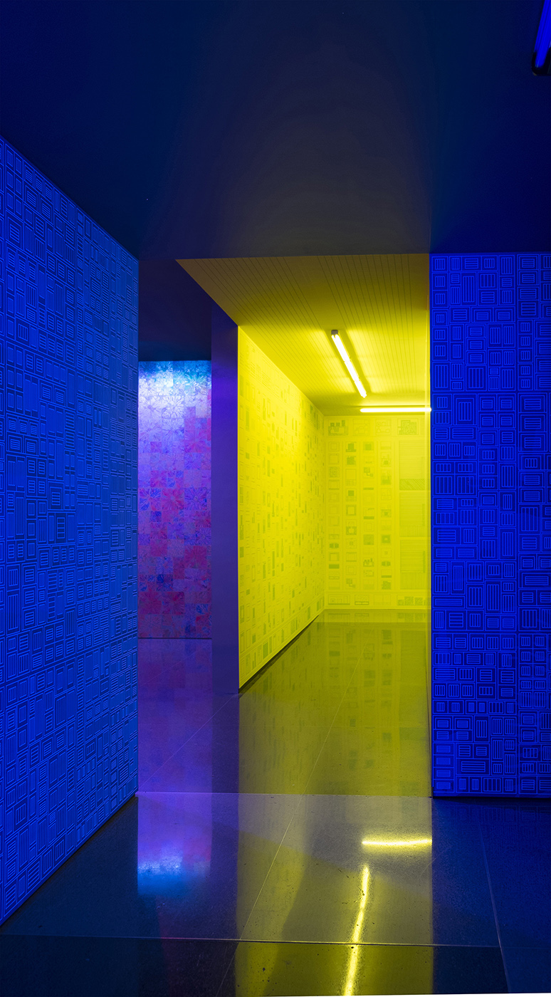 PeterHalley-LeverHouse-Photo by Peter Halley studio11.jpg