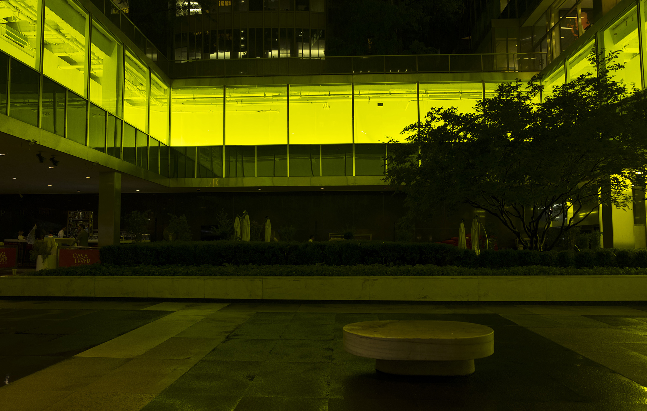 PeterHalley-LeverHouse-Photo by Peter Halley studio21.jpg