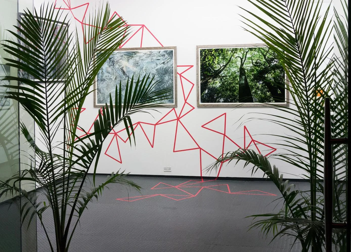 [GONE] MEXICO | CREATE COLLECT