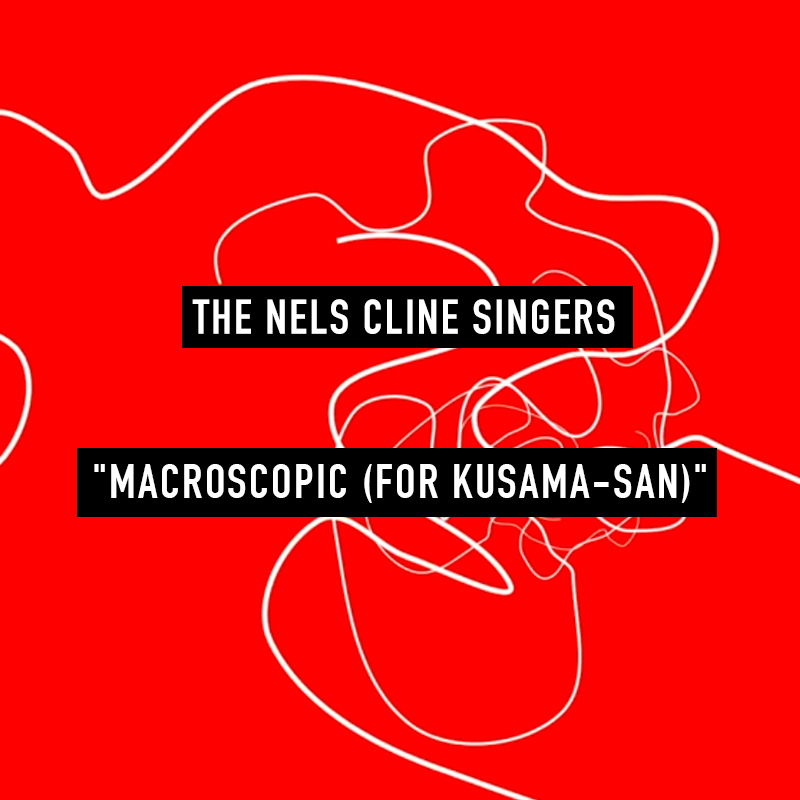 NELS CLINE SINGERS: M A C R O S C O P I C (F O R K U S A M A - S A N)