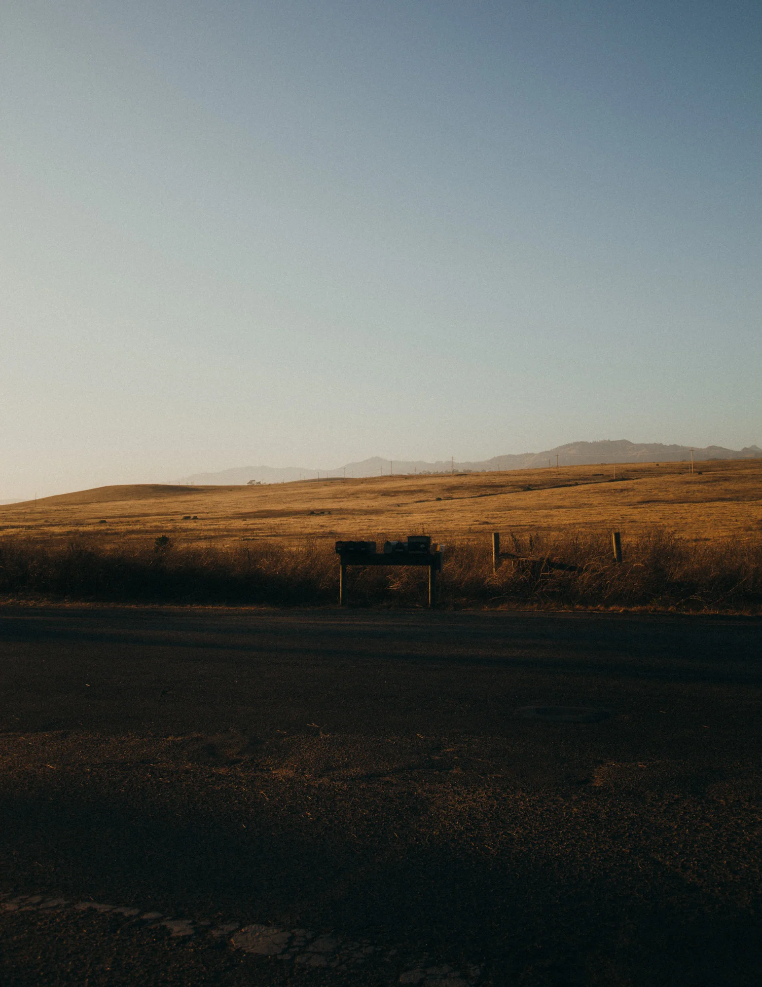 Cali I_IMG_1197.jpg