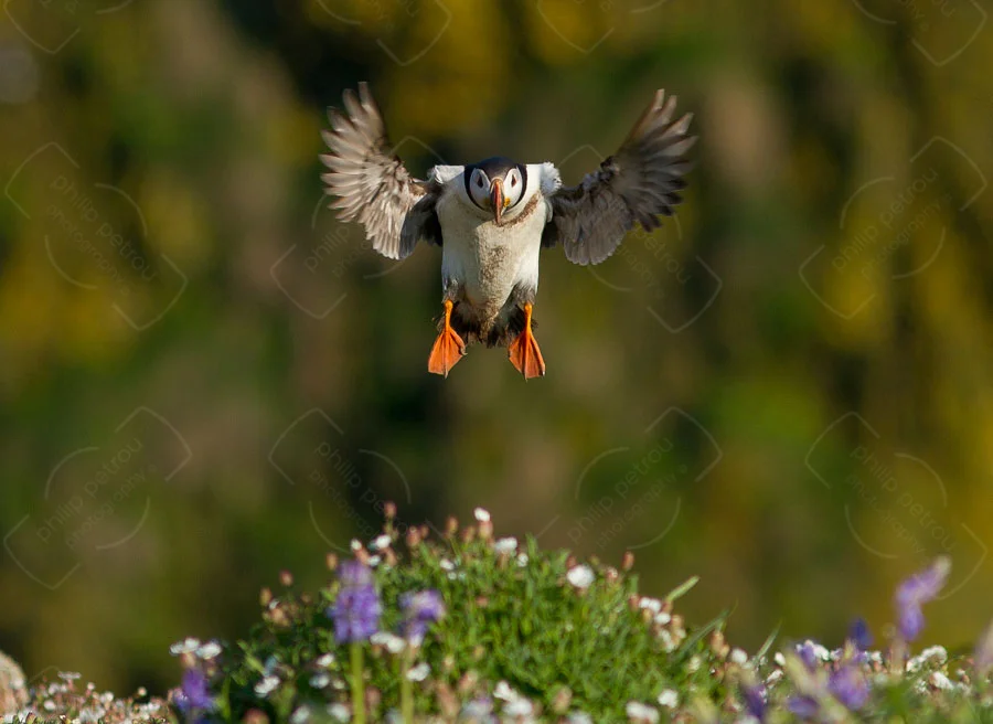 Final Approach