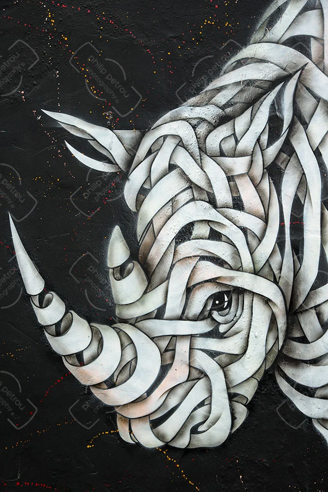 Rhino 2