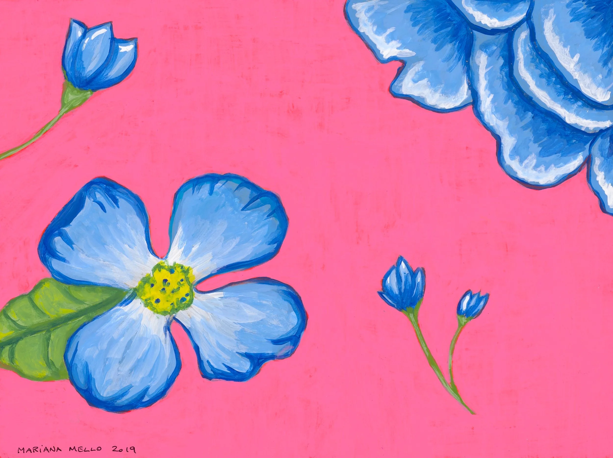 Flower Study Pink (2019)