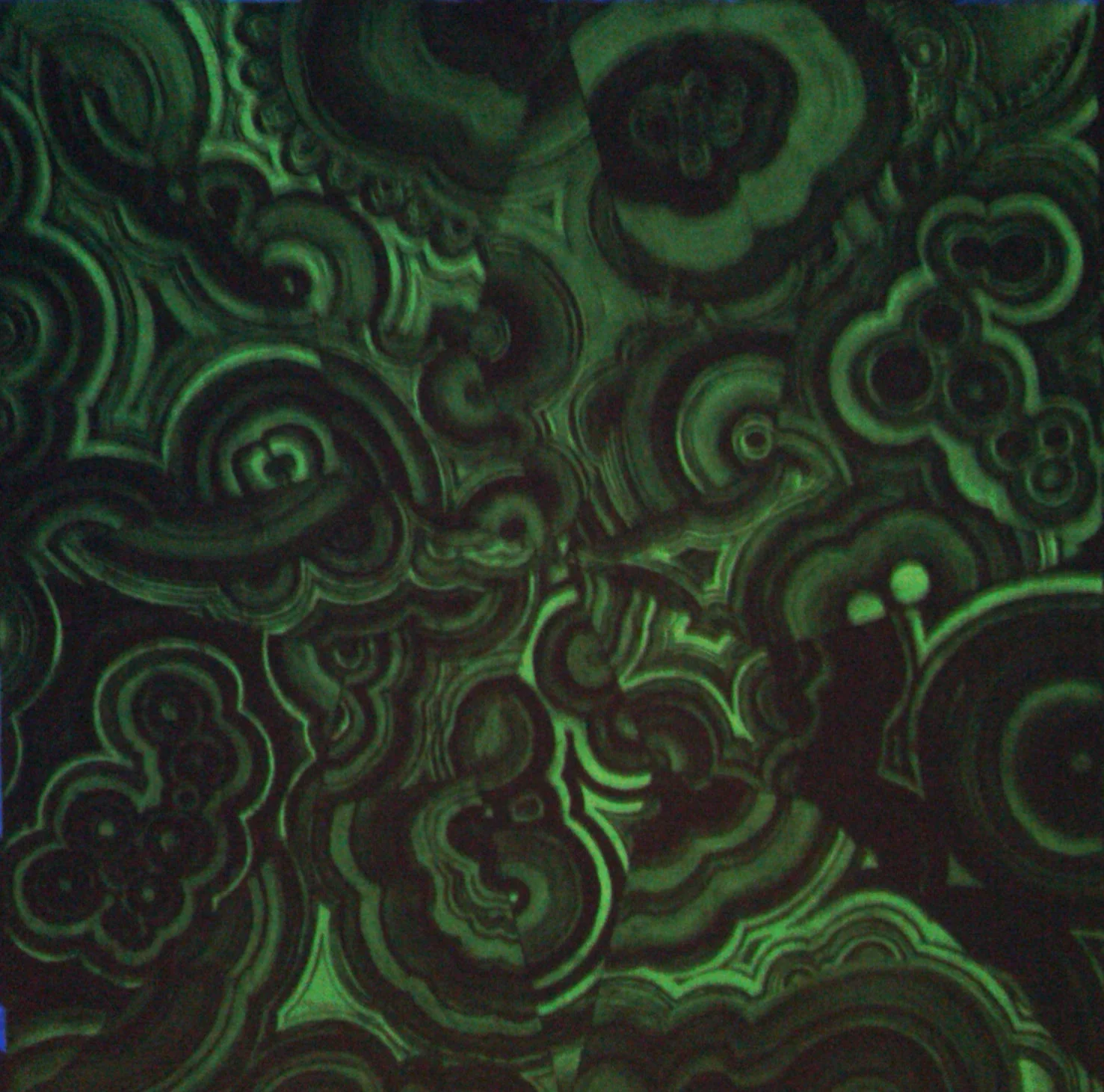 20100424_9.jpg