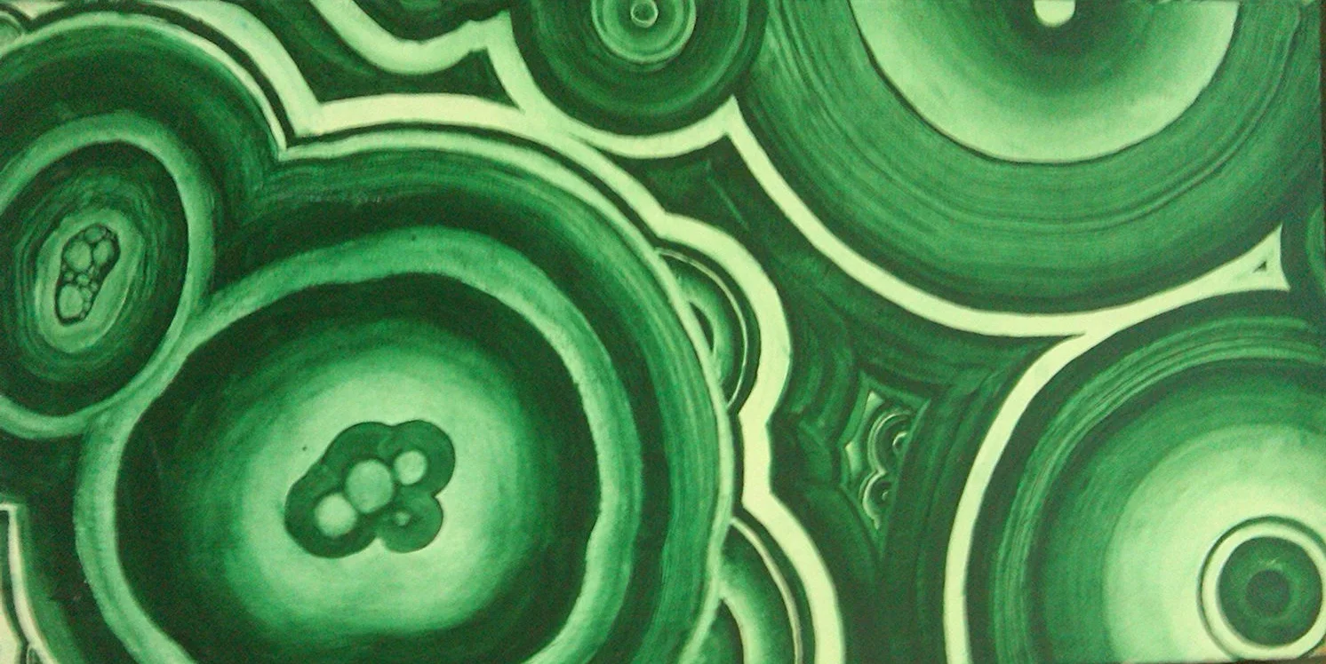 20100523_5.jpg