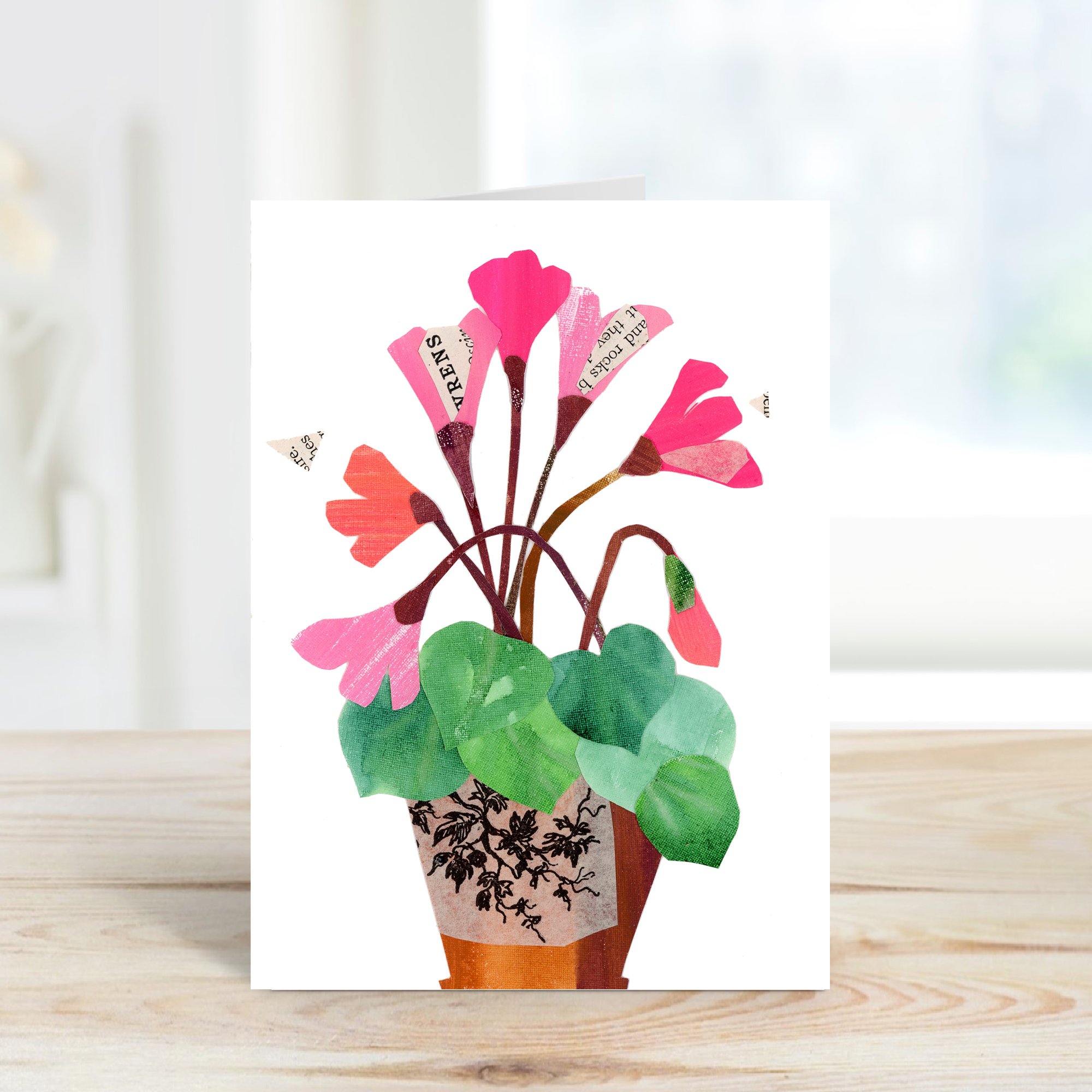 016_cyclamen-a.jpg