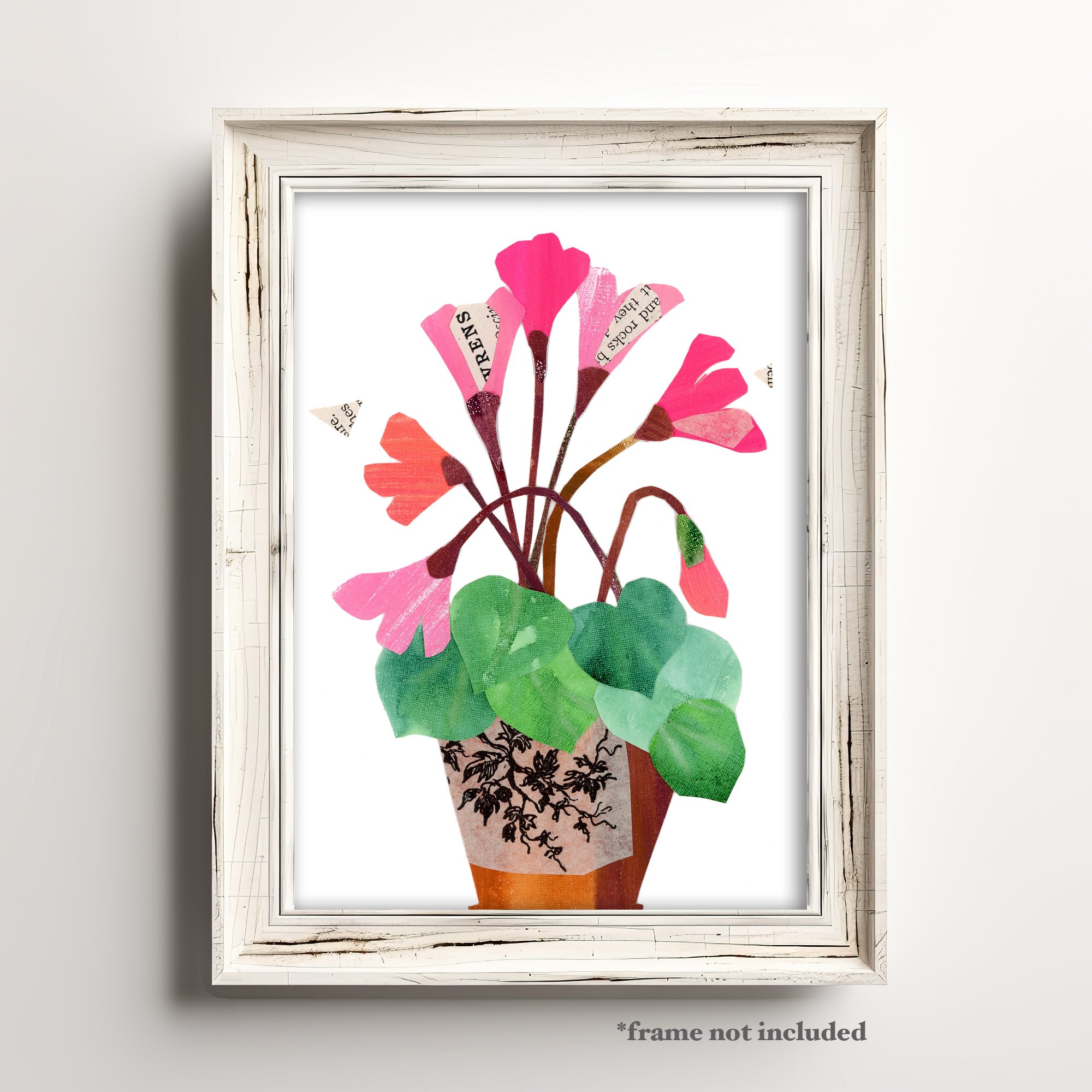 016_cyclamen-b.jpg