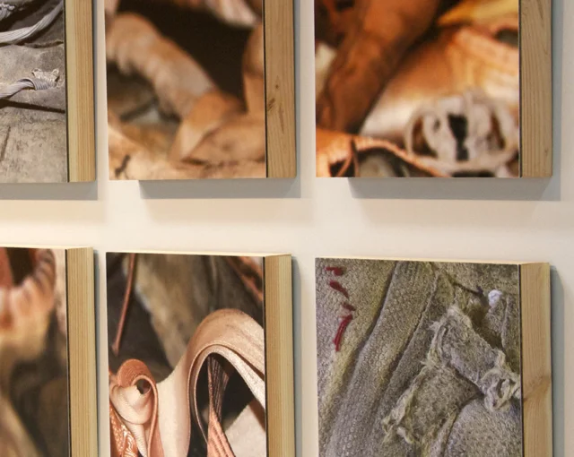 what they become, installation view, detail