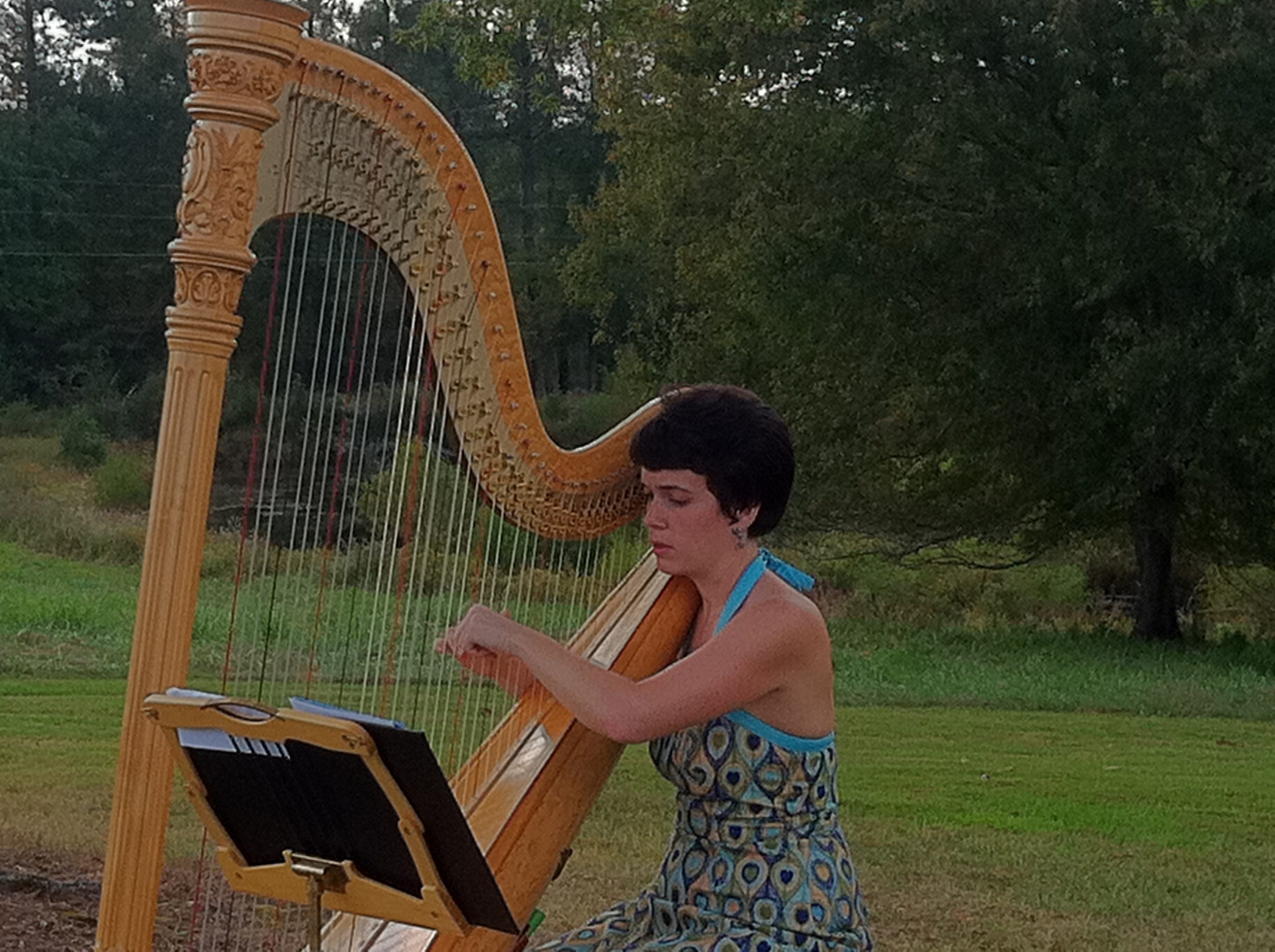 Chapel Hill harpist Leigh Stringfellow