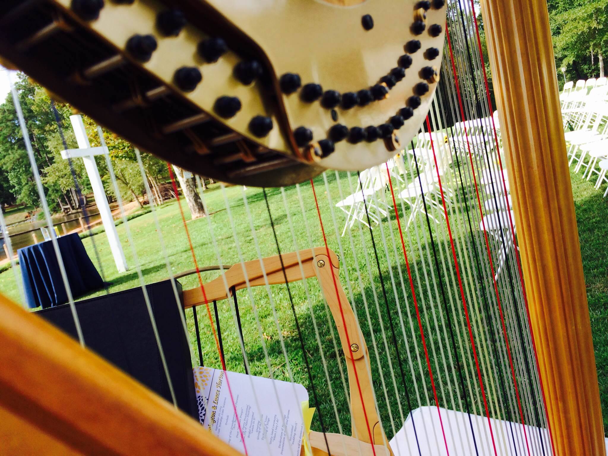 Chapel Hill harpist Leigh Stringfellow