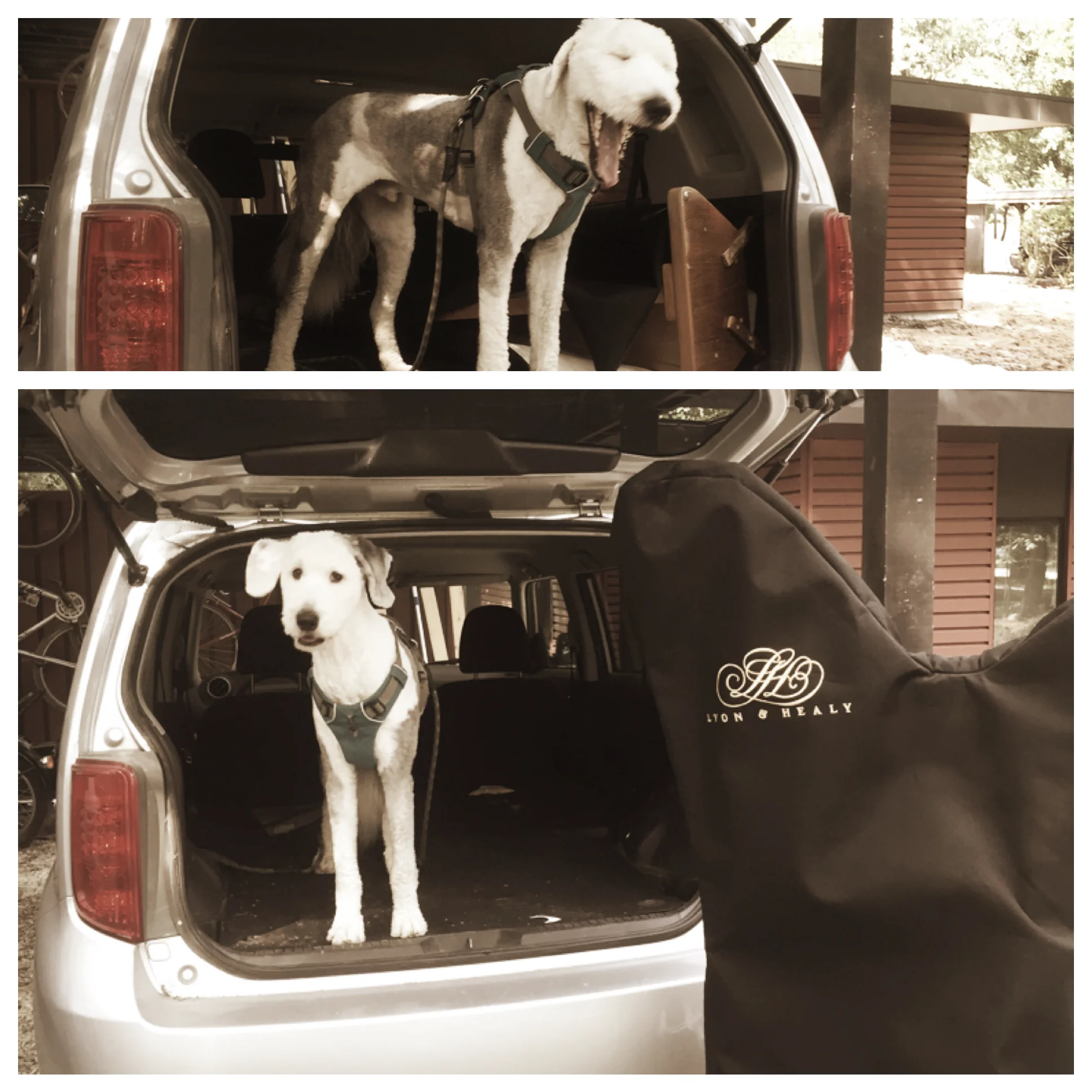 Home again after a long road trip!