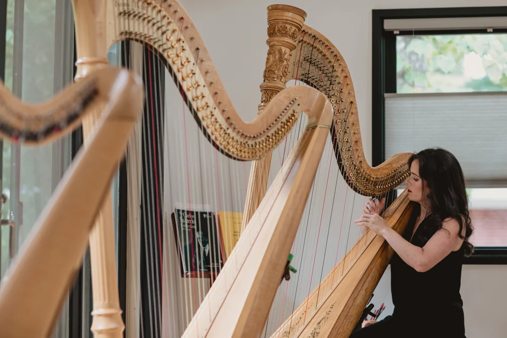 StringfellowStudio-03.jpg