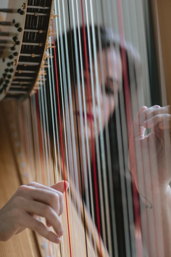 StringfellowStudio-19.jpg