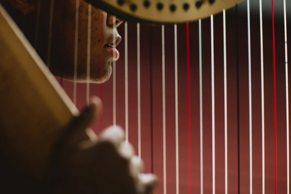 StringfellowStudio-54.jpg