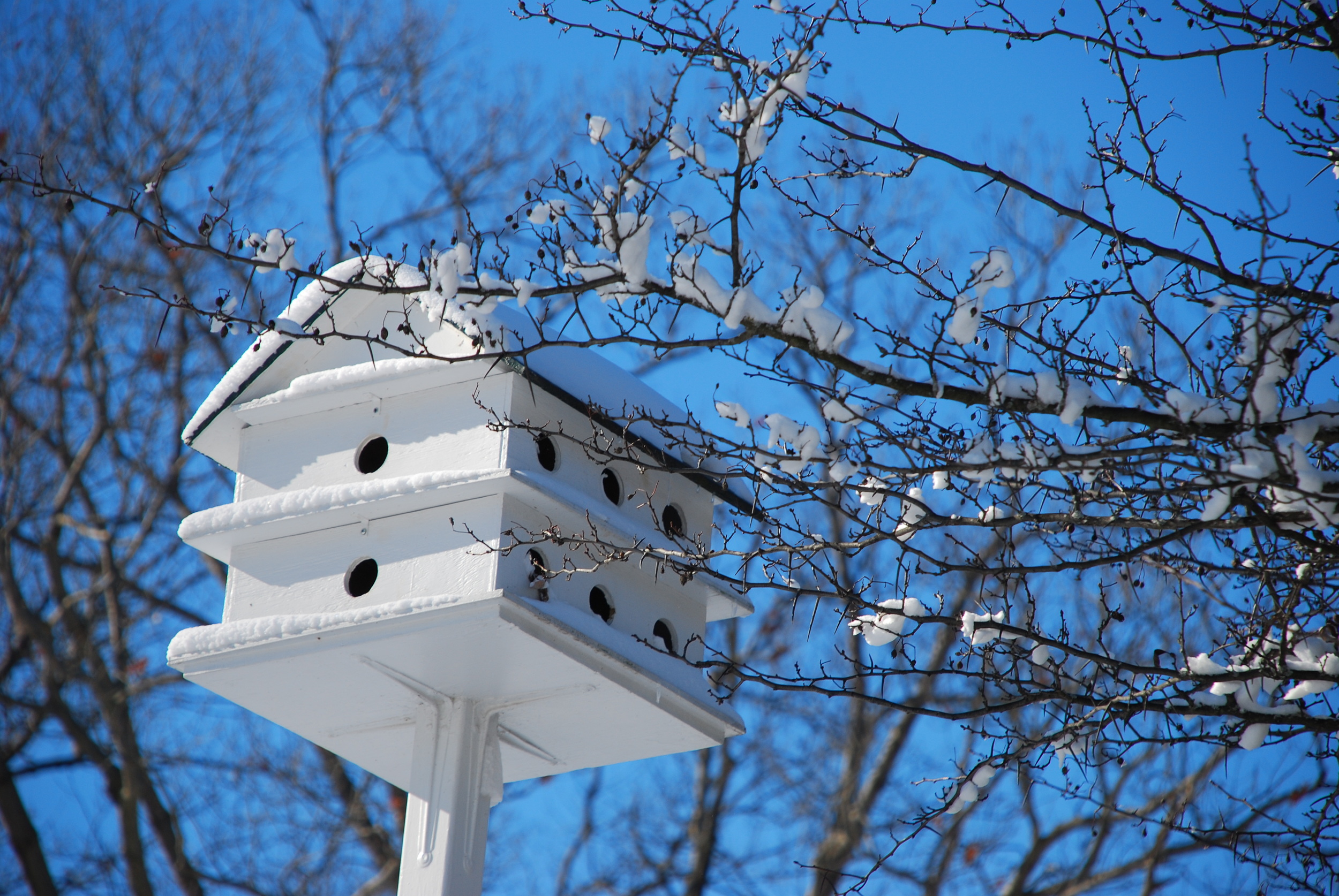 Ware Garden is a garden for all seasons. 