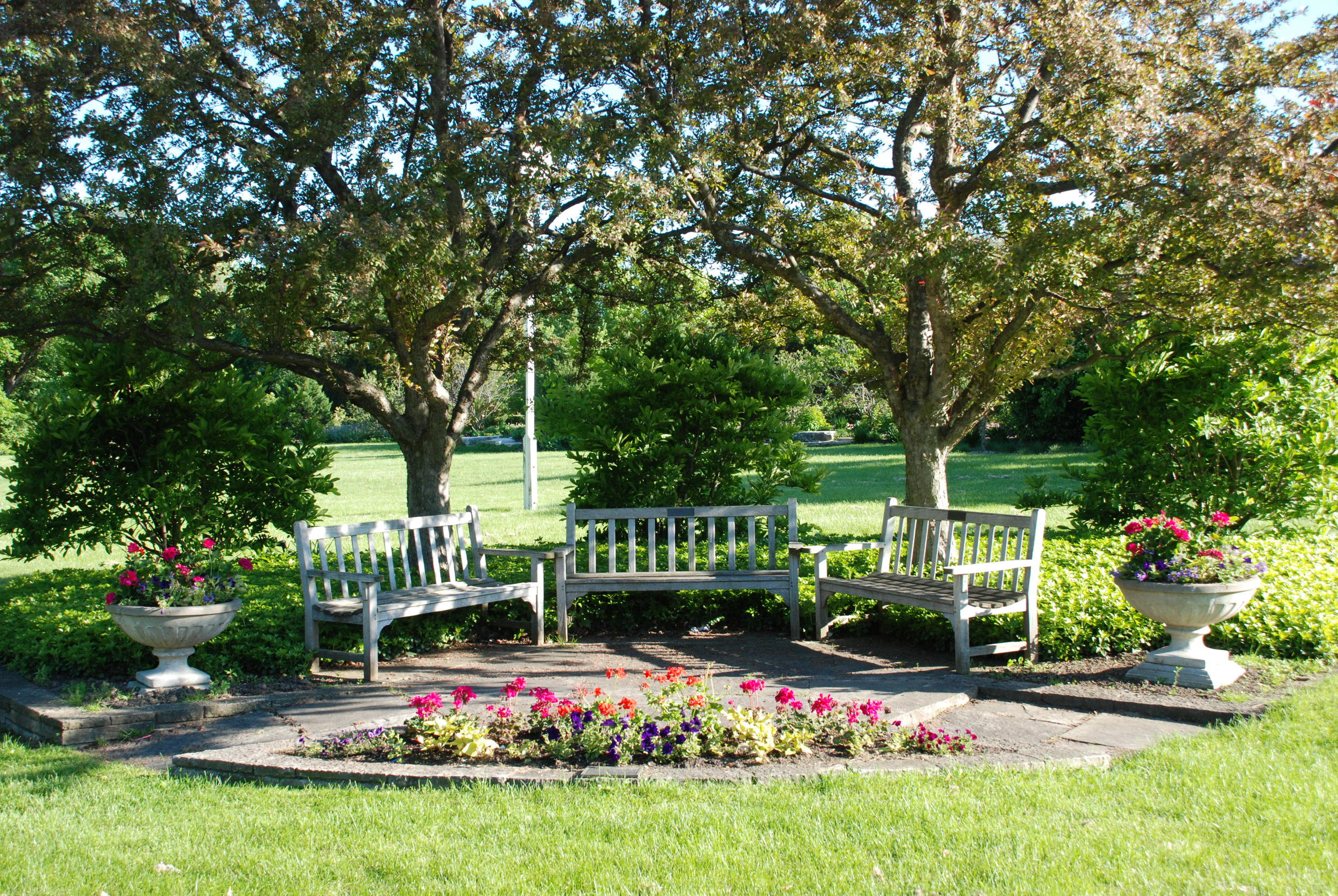 Lovely Magnolia Garden, just south of the Kenilworth Train Station on Kenilworth Avenue.