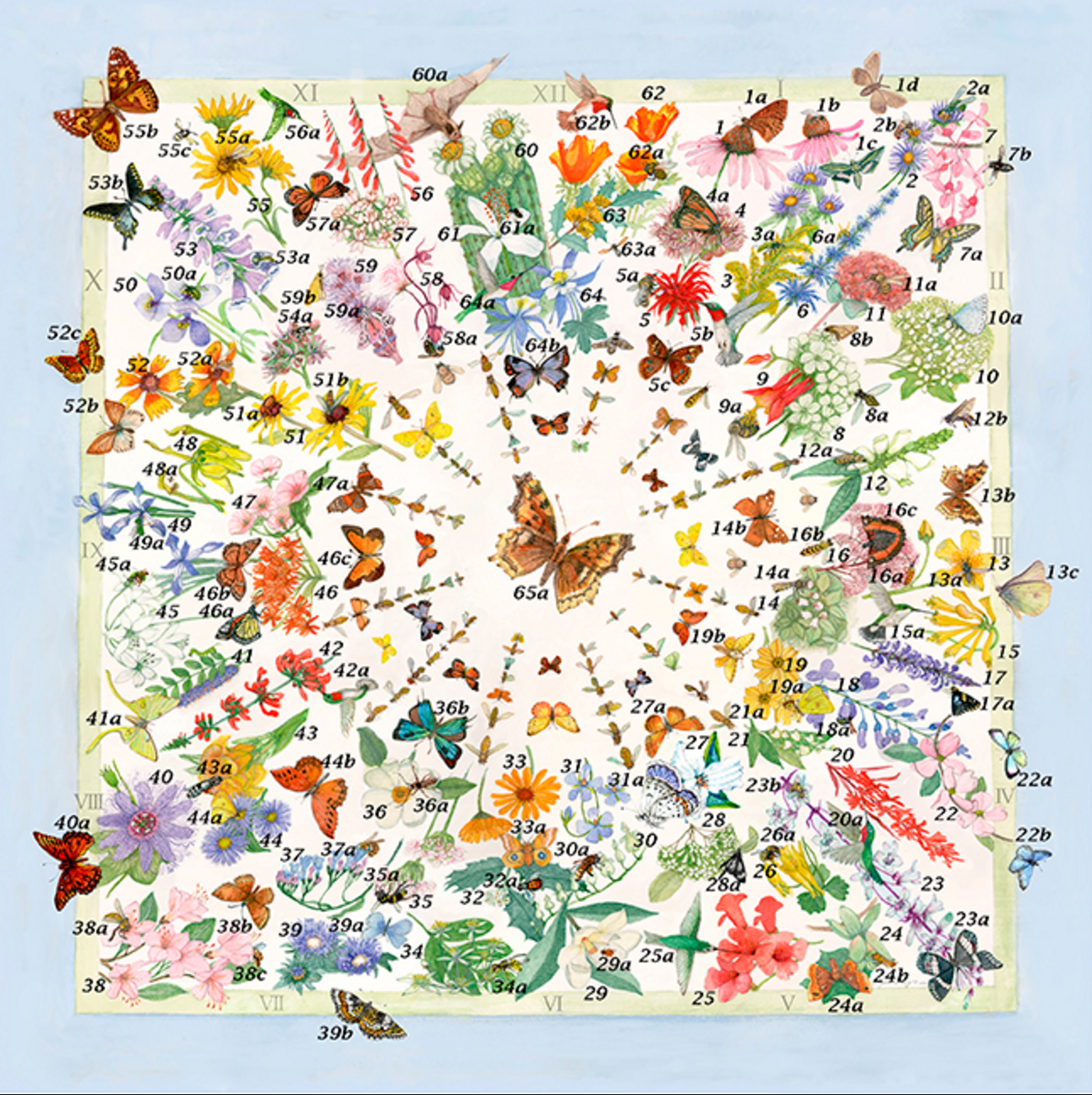 Click here for the names of these pollinators and their plants!
