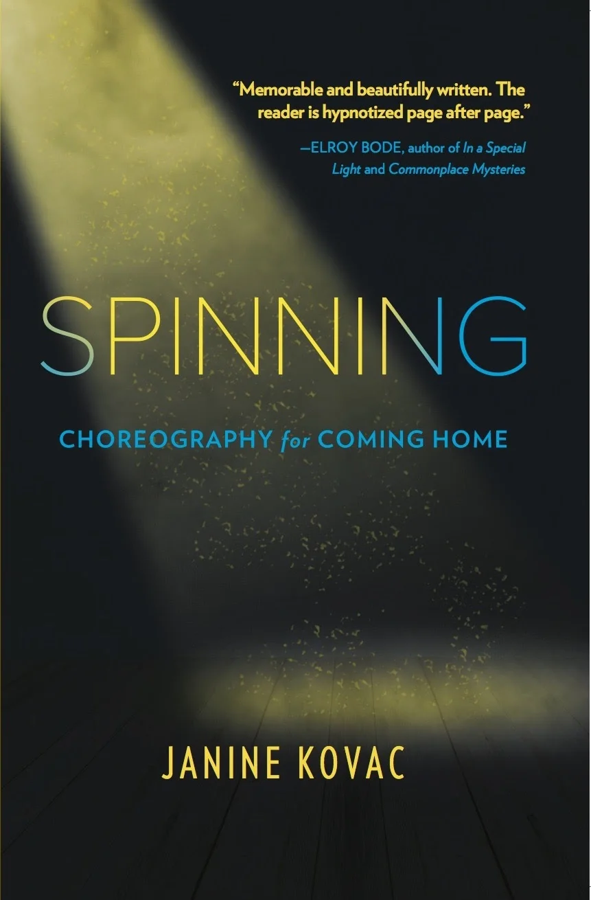spinning book cover.jpg